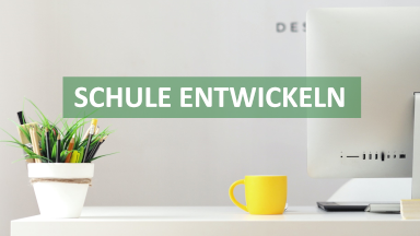 Schule entwickeln